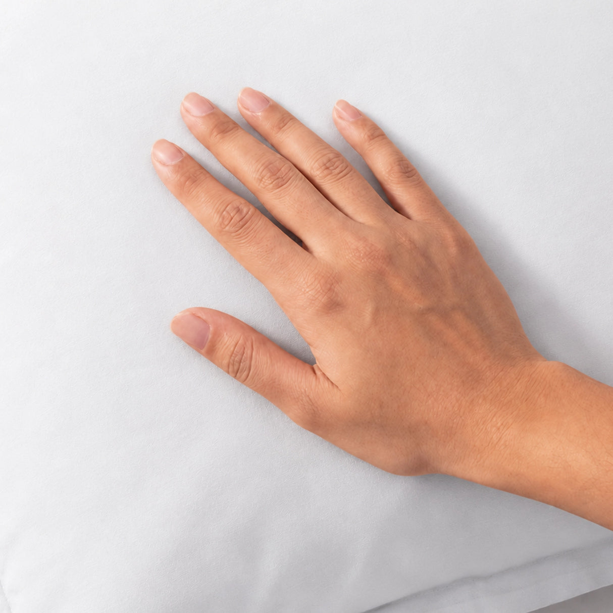 Fort Nightingale - Solid Pillow Cover (White) (Bedsheet Excluded)