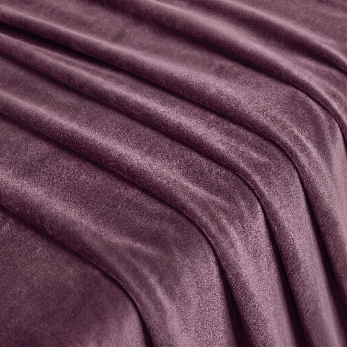 Fort Royal - Curtain