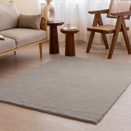 Shaggy Rug
