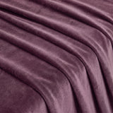 Fort Royal - Curtain