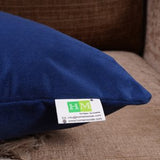 Solid Velvet Cushion Cover (Blue)